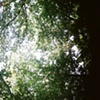 pennsylvania: shade
