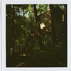 treehouse: georgia