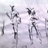 Ink 1