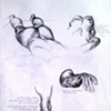 Precise Pencil 1