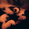 Fuzzball