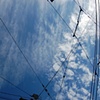 brighton: wire