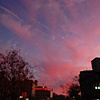 cambridge: sunset