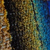 Experiment Tapestry