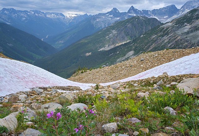 Looking back down Asulkan Valley to Rogers Pass