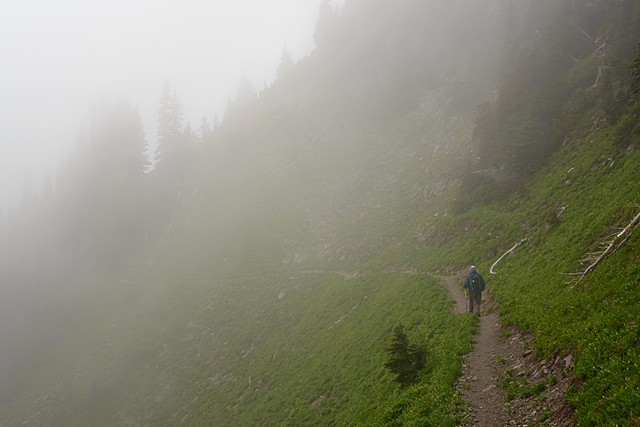 Misty Trail down from Bogachiel

June 2019