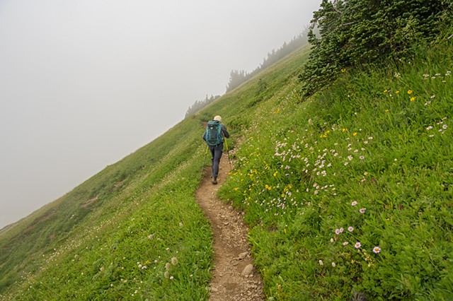 A Little Clearer on Ptarmigan Trail