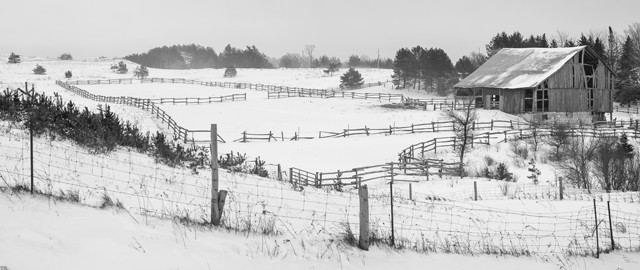 Wintry Farm

January 2014
