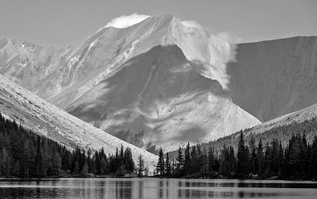 Cyclone Mountain over Myosotis