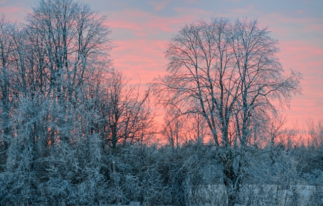 Frosty Sunset

December 2013
