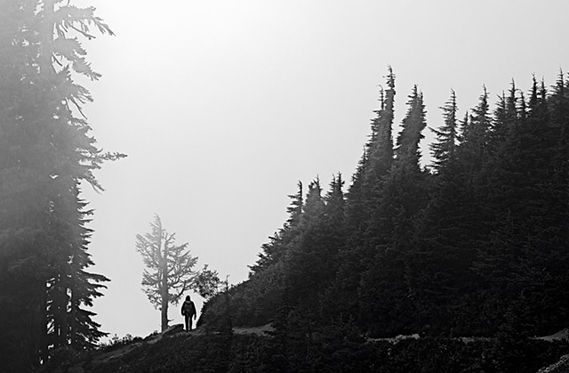 A third Misty Morning - Chain Lakes Trail