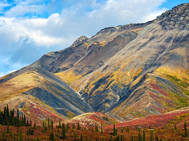 Fall in Tombstone Park

Sep 2014