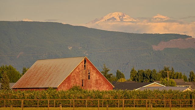 Mt Baker from near Sumas in the Evening