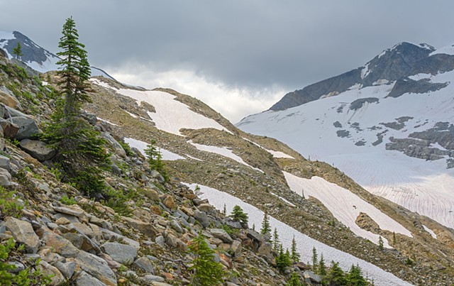 Approaching the Snow Line - Asulkan Valley