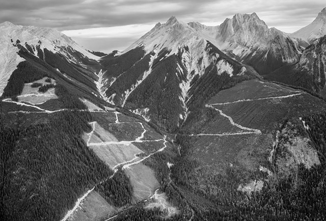 Logging Roads along the Blaeberry River Heli Route