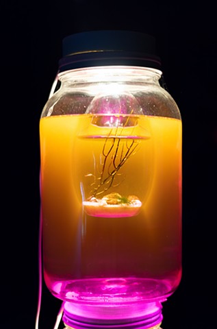 Chemical Refraction
