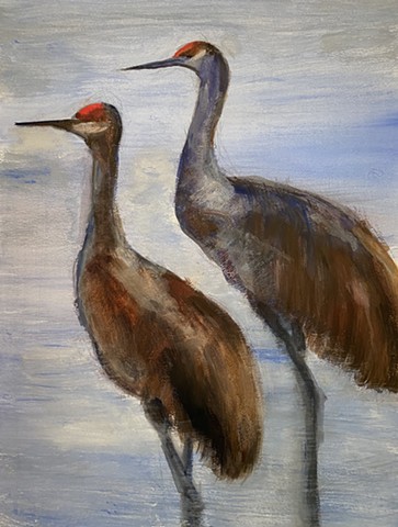 Sandhill Cranes 