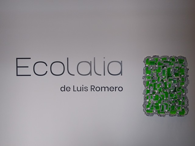 Ecolalia, Museo de las Americas, San Juan, PR