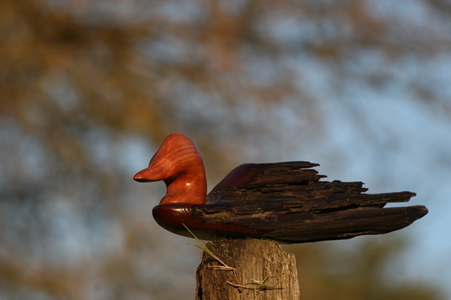 
Fence Post Duck