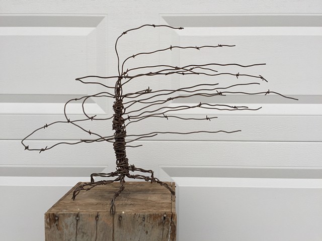 Barbed Wire Tree