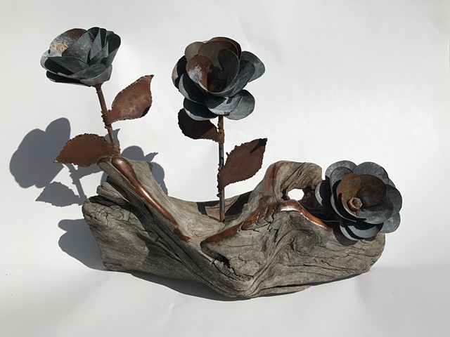Rose in Driftwood