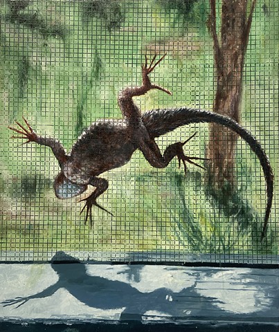 Lizard on the Porch Screen
