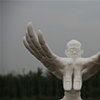 Non-Fly Series