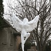 Non-Fly Series