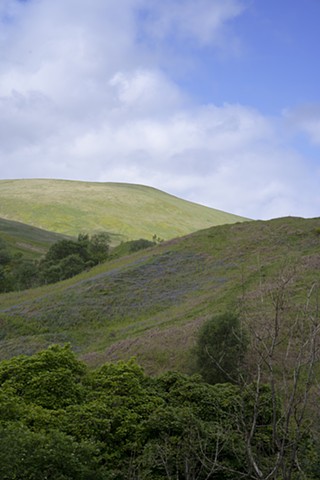 Hills Near Castle Campbell