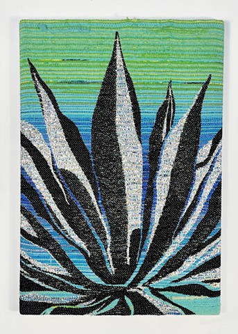 Maguey