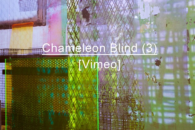 Chameleon Blind (3)