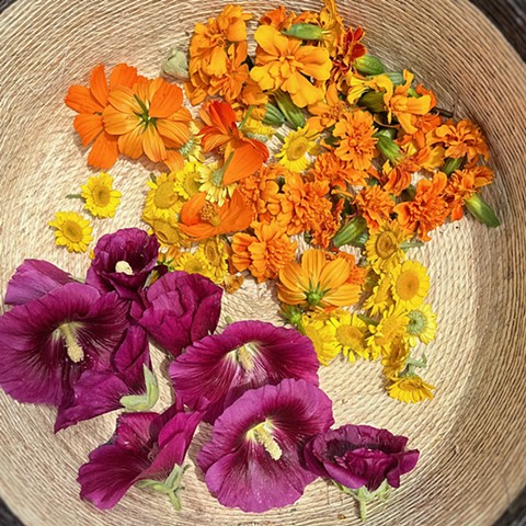 Dye and Prairie Garden