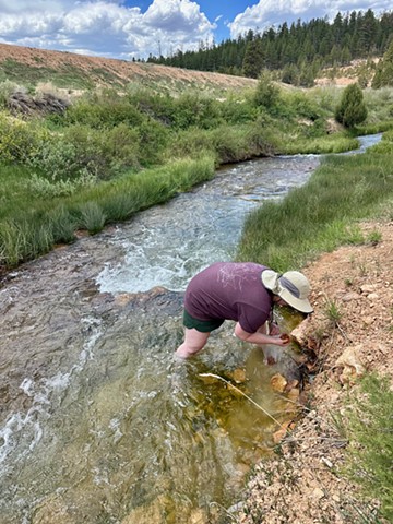 Foraging Wild Clay