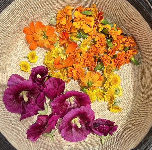 Black Hollyhock, Cosmos, Chamomile and Marigold