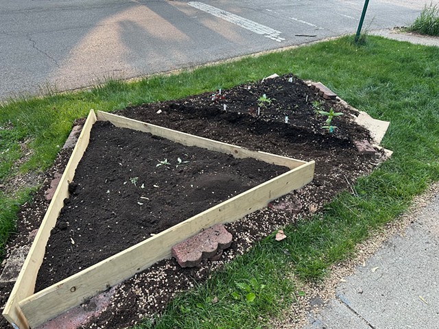Year 1 Compost Raised Bed