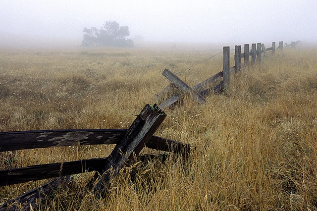 Broken Fence, Mendocino