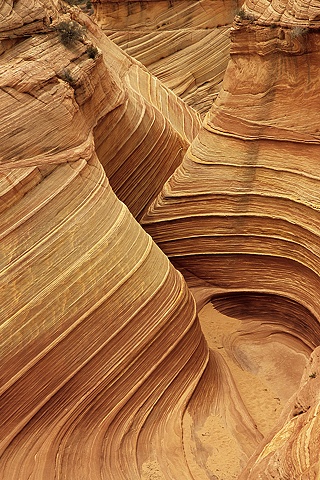 Rock Canyon, Coyote Buttes, Paria Canyon-Vermillion Cliffs Wilderness, Arizona