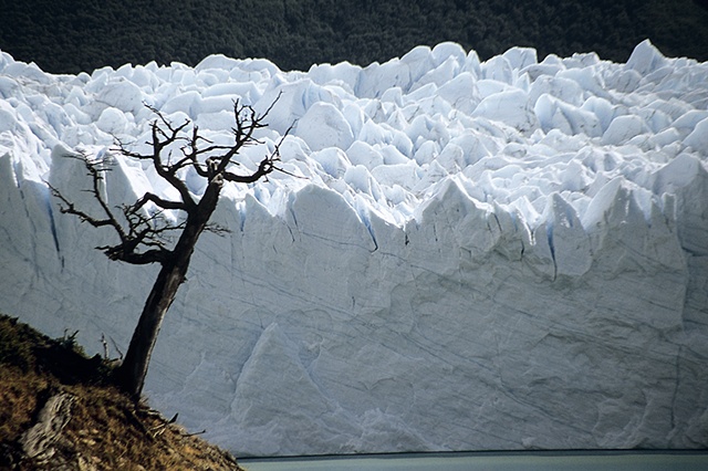 Moreno Glacier Advancing, Patagonia