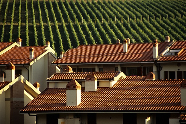 Roofs and Vineyard, Greve