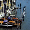 Venice Canal, Venice