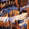 Snow in Bryce Canyon, Bryce Canyon National Park, Utah