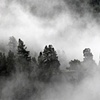 Mountain Fog, San Juan Mountains, CO