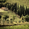 Tuscany Landscape, Near Radda