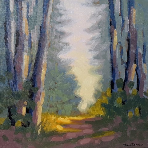 Woodland Path