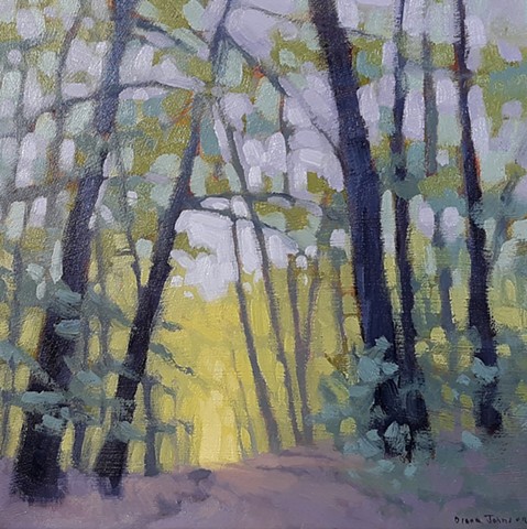 Distant Light
