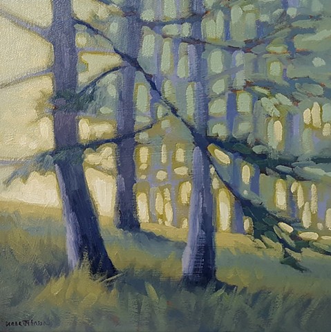 Light in the Grove