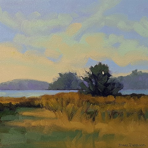 Seaside Meadow
