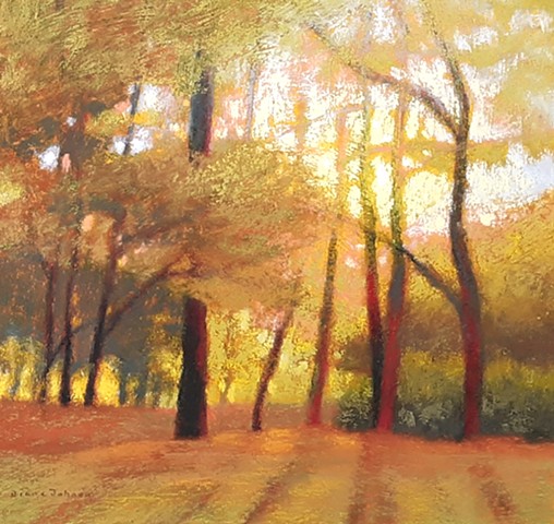Through the Trees