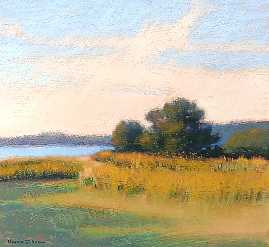 Diana Johnson Fine Art - Painting Maine Landscapes