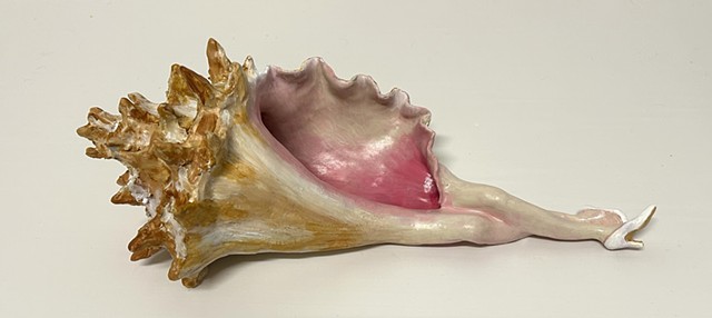 Reclining Shell #2